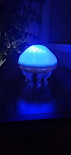 Jellyfish Ocean Projection Lamp photo review