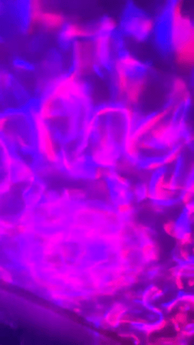 Jellyfish Ocean Projection Lamp photo review
