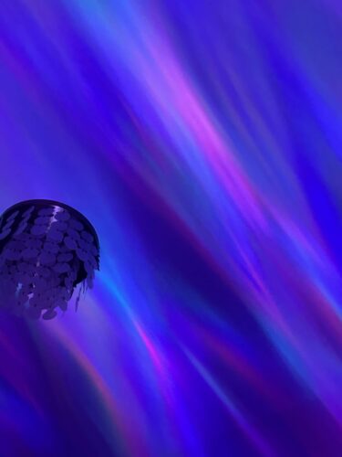 Magic Fairy Tale Treasure Chest Projection Lamp & Bluetooth Link Fantasy Story Scene & Children's Holiday Gift photo review